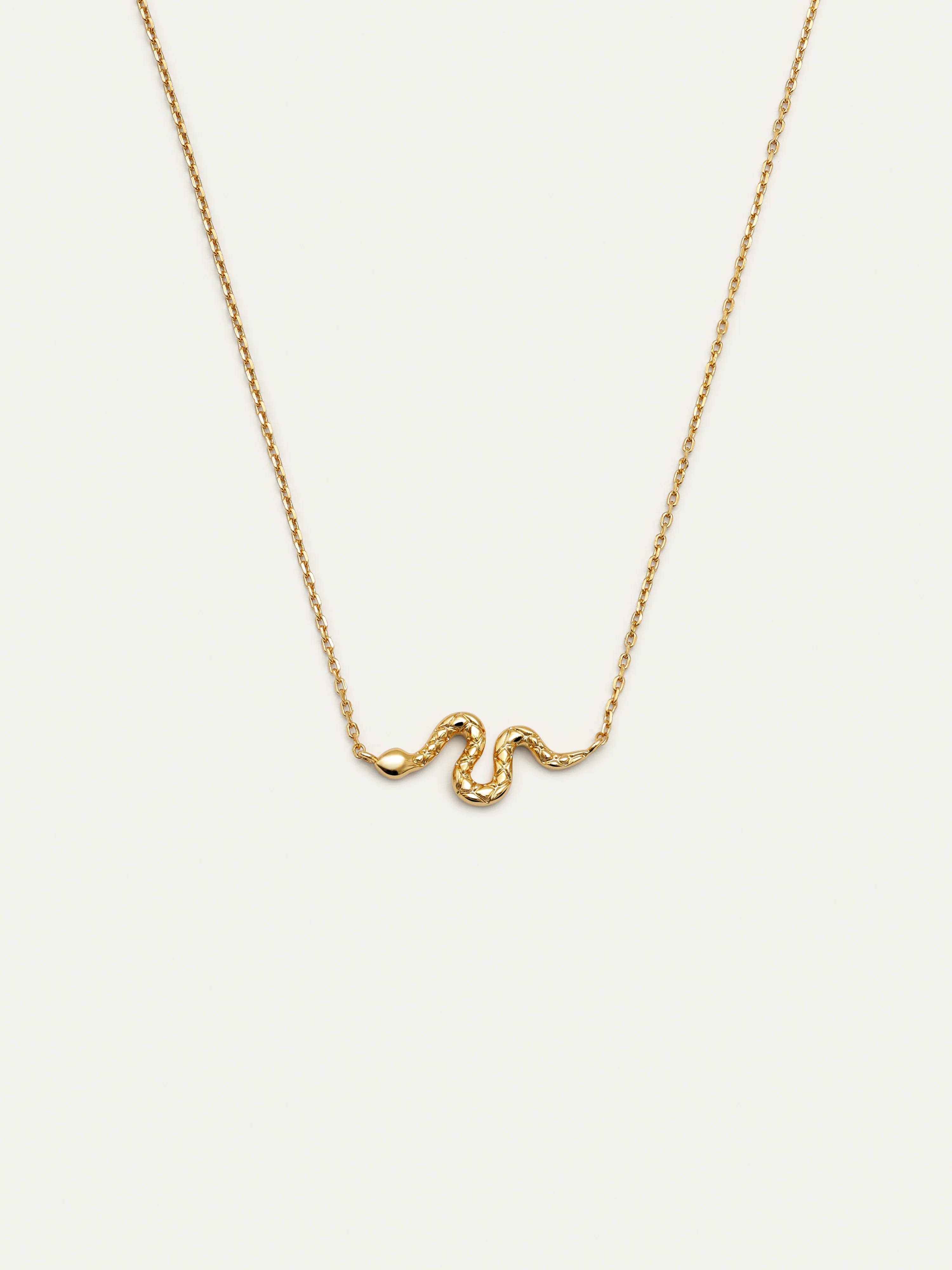 Todos los Productos